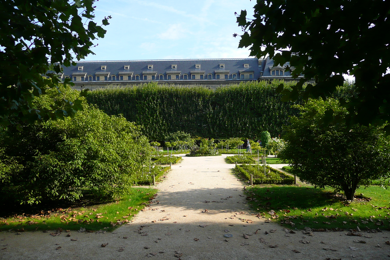 照片 法国(France) 巴黎(Paris) 巴黎植物园(Jardin des Plantes) 2007-08 155