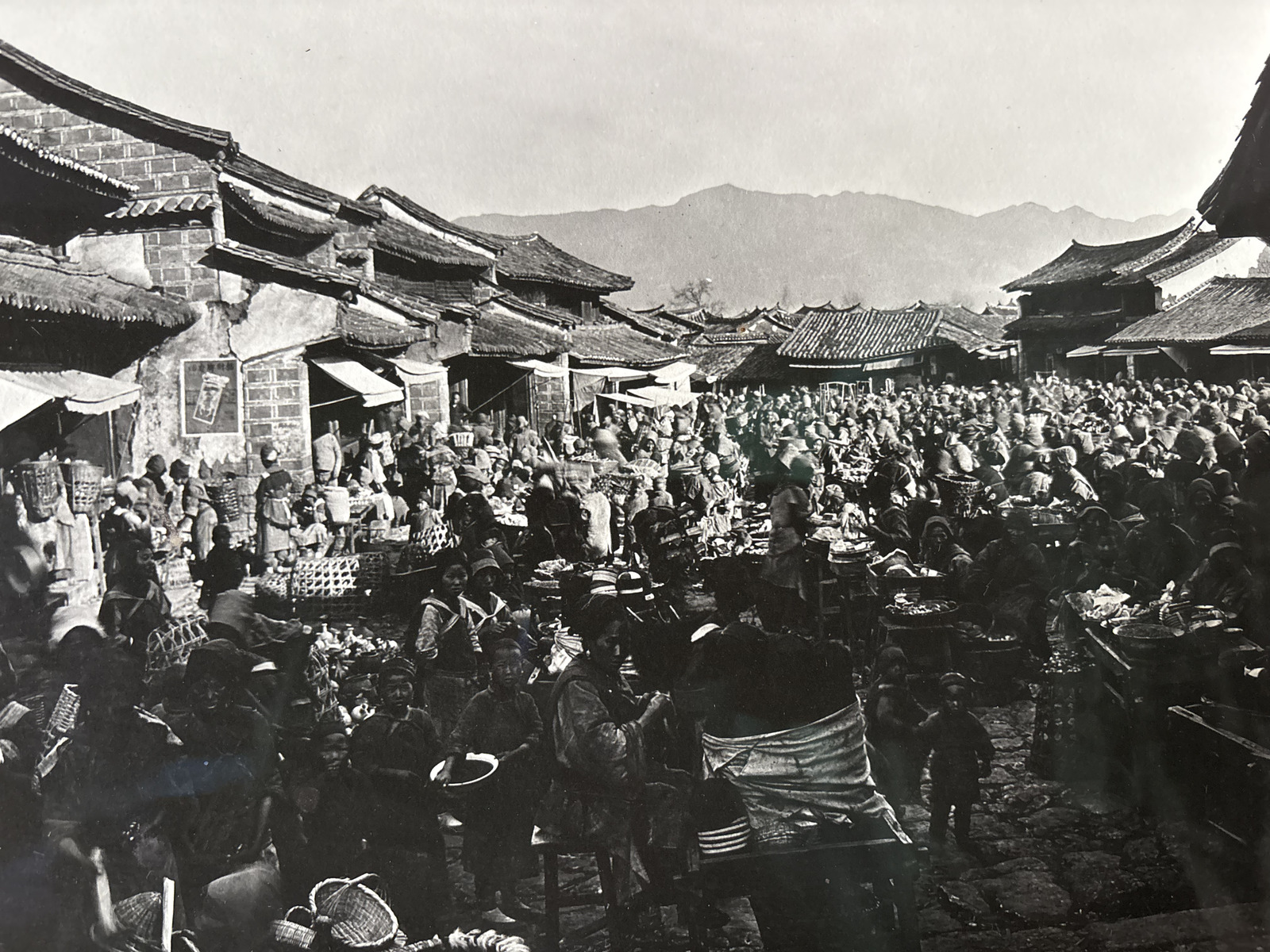 照片 中国(China) 丽江(Lijiang) 2026-01 171