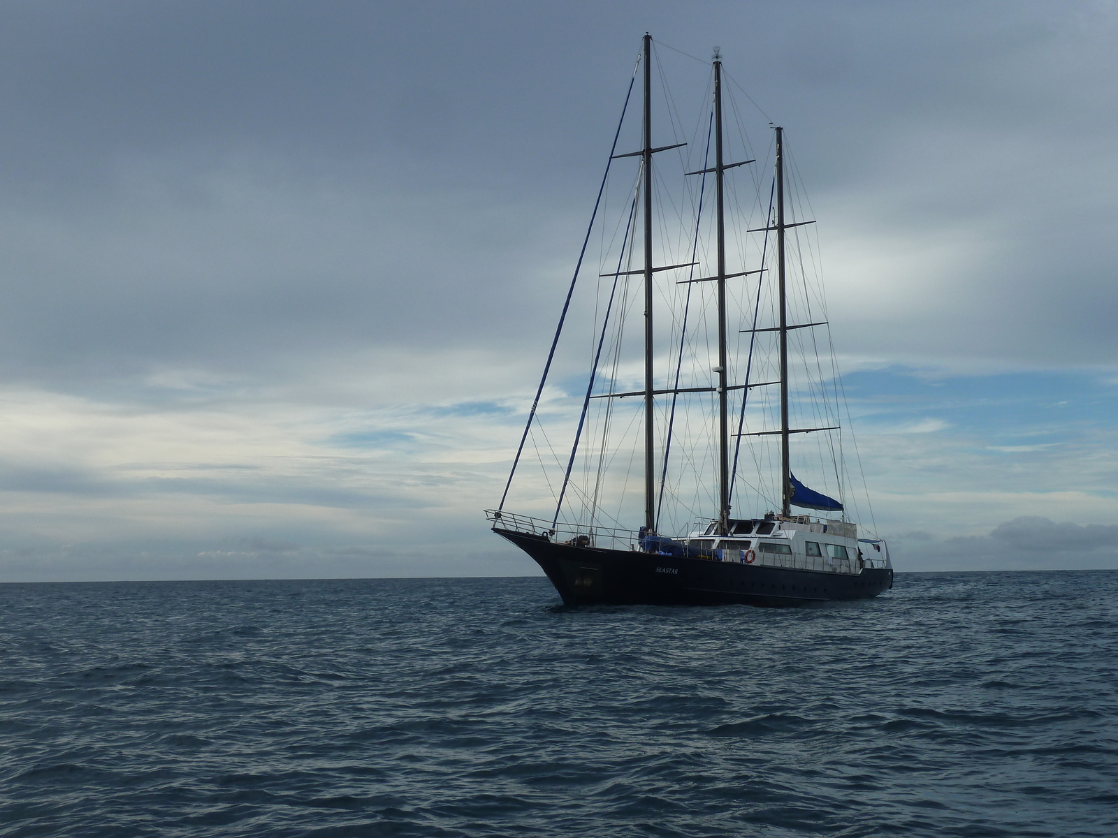照片 塞舌尔(Seychelles) 海星(Sea Star) 2011-10 0