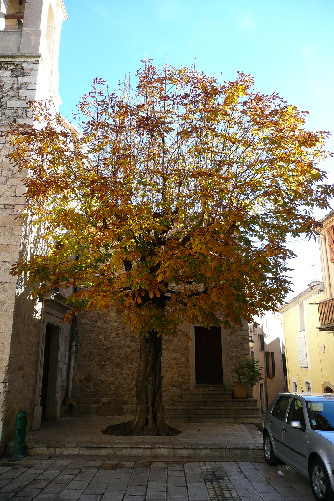 照片 法国(France) 圣让内(Saint Jeannet) 2007-11 36