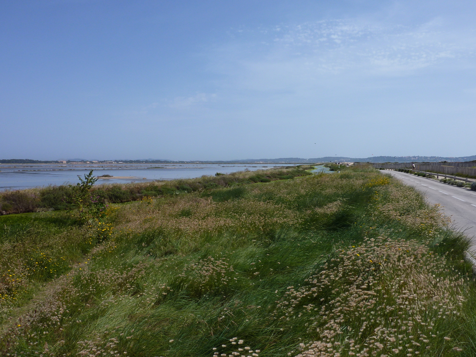 照片 法国(France) 吉安半岛(Giens Peninsula) 2009-05 15