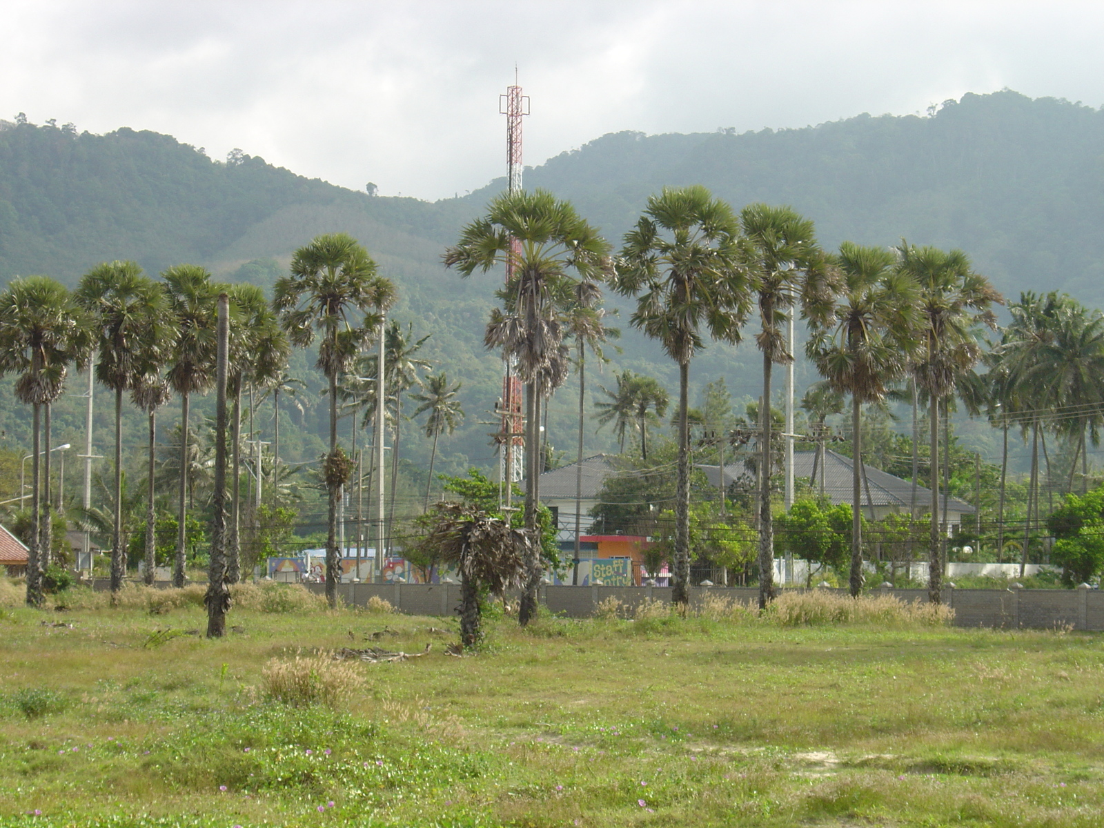 照片 泰国(Thailand) 普吉岛(Phuket) 卡马拉海滩(Kamala Beach) 2005-12 63
