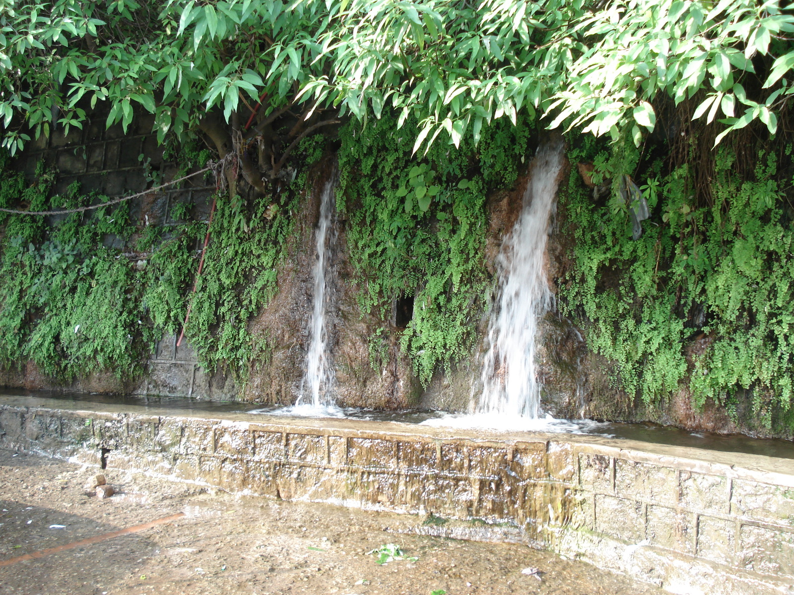 照片 巴基斯坦(Pakistan) 伊斯兰堡至穆里公路(Islamabad to Murree road) 2006-08 35