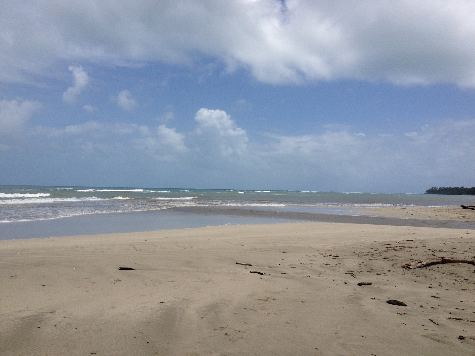 照片 哥斯达黎加(Costa Rica) 卡维塔(Cahuita) 2015-03 153