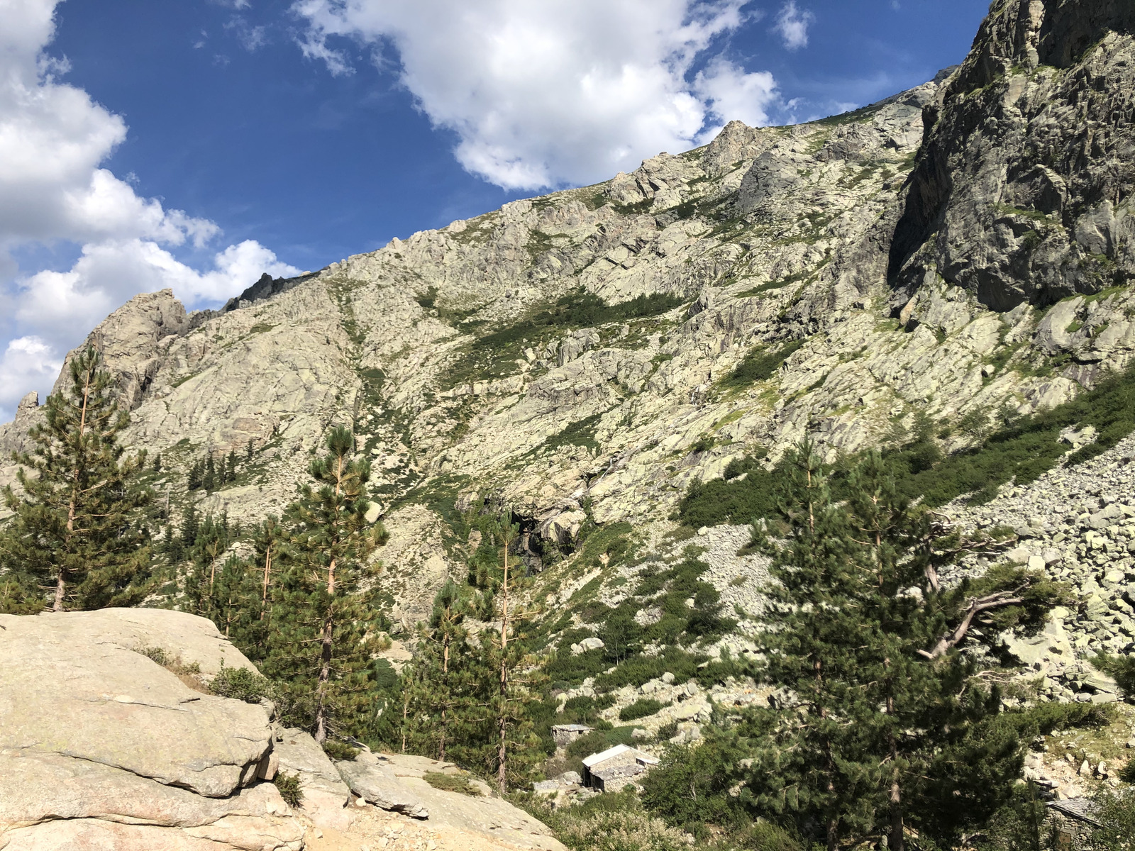 照片 法国(France) 科西嘉岛(Corsica) 雷斯托尼卡山谷(La Restonica) 2020-07 121