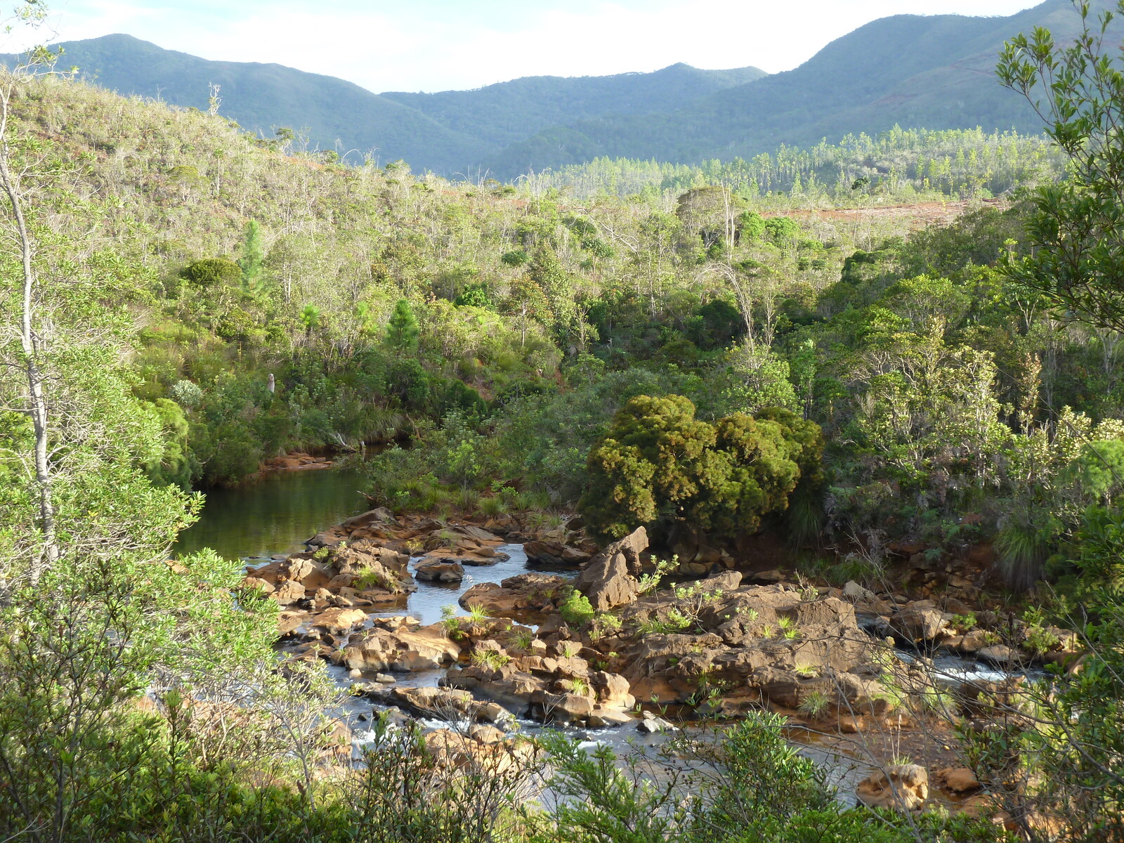 照片 新喀里多尼亚(New Caledonia) 2010-05 38
