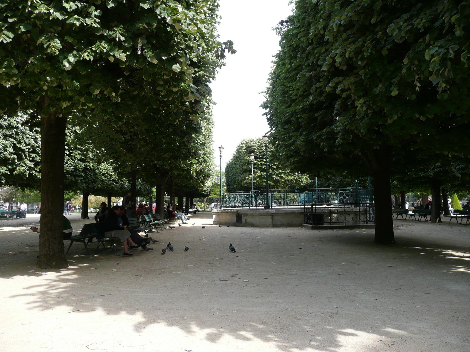 照片 法国(France) 巴黎(Paris) 巴黎圣母院(Notre Dame) 2007-05 101