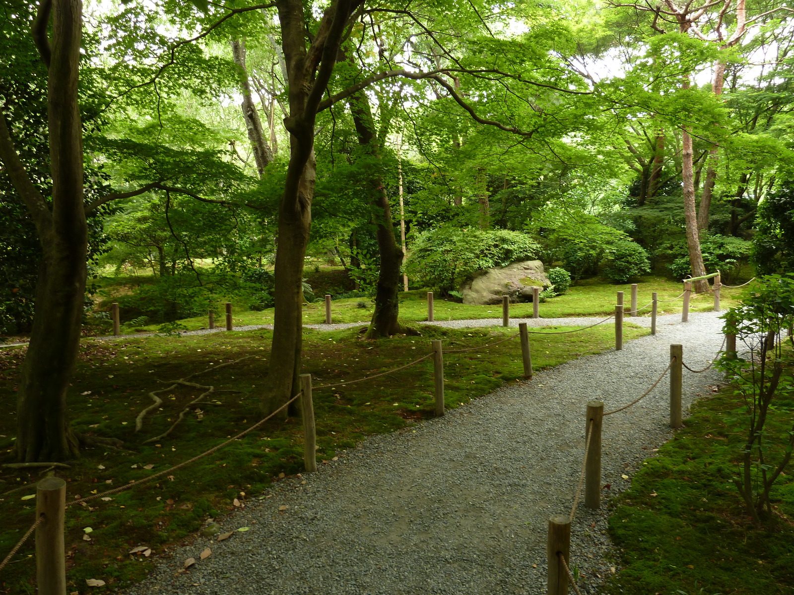 照片 日本(Japan) 京都(Kyoto) 龙安寺(Ryoanji Temple) 2010-06 26