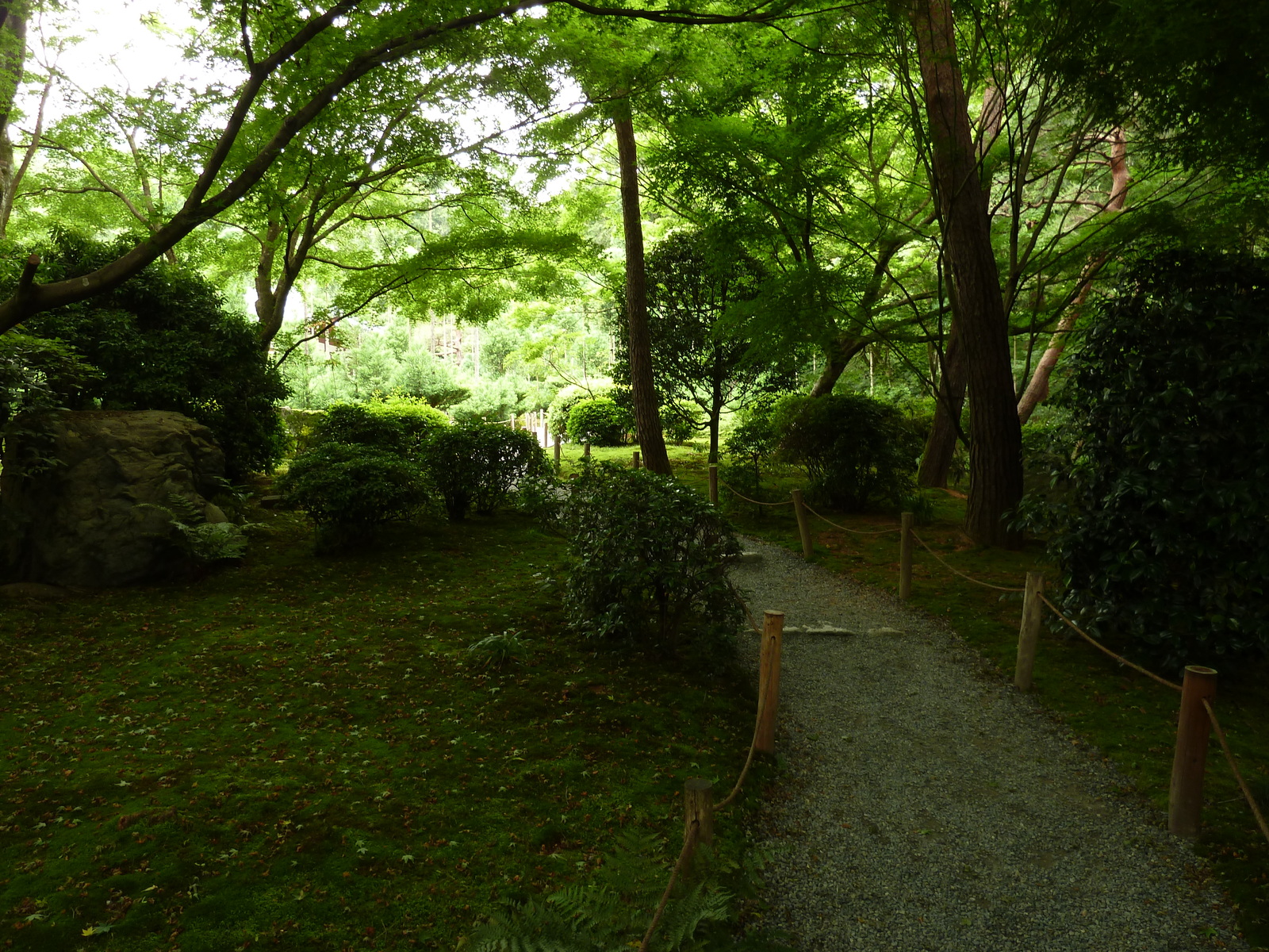 照片 日本(Japan) 京都(Kyoto) 龙安寺(Ryoanji Temple) 2010-06 30