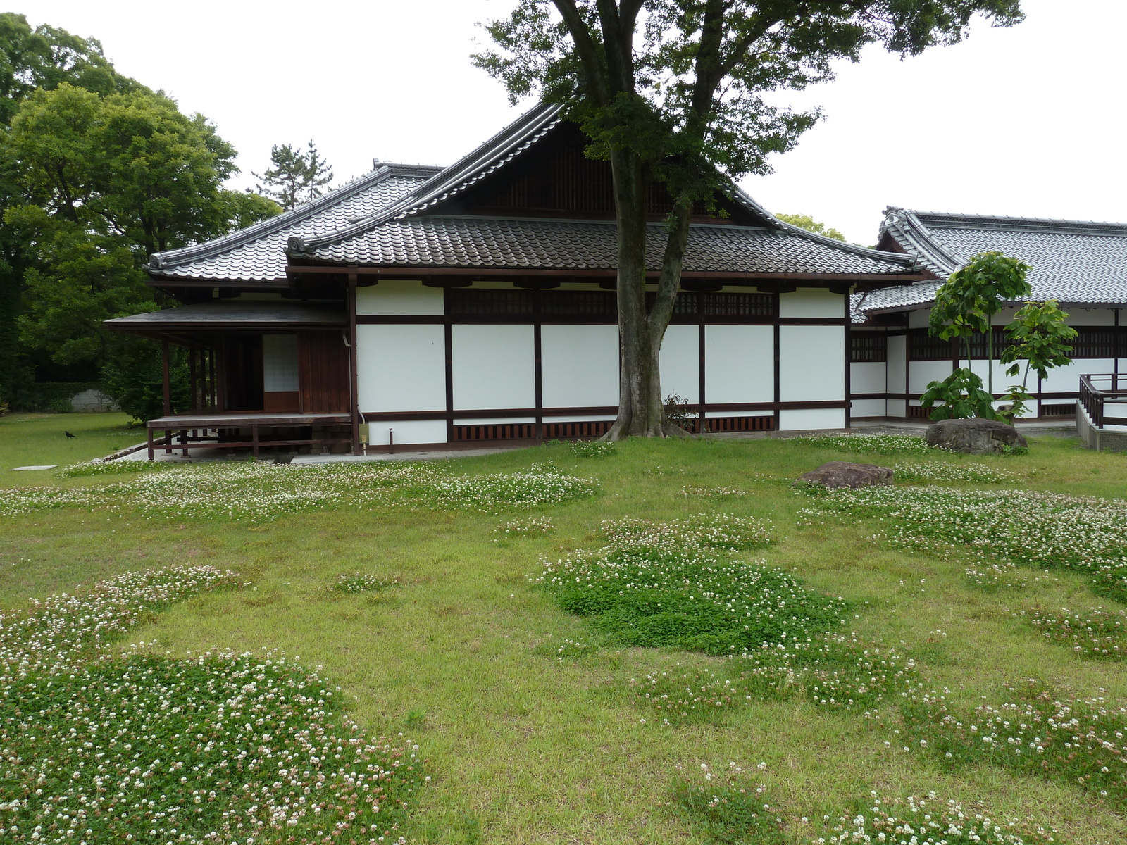 照片 日本(Japan) 京都(Kyoto) 京都御苑(Kyoto Gyoen Garden) 2010-06 15