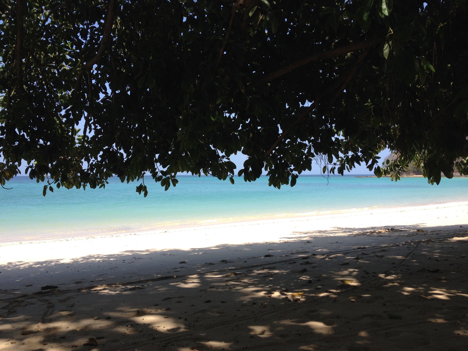 照片 巴拿马(Panama) 孔塔多拉岛(Contadora Island) 2015-03 21