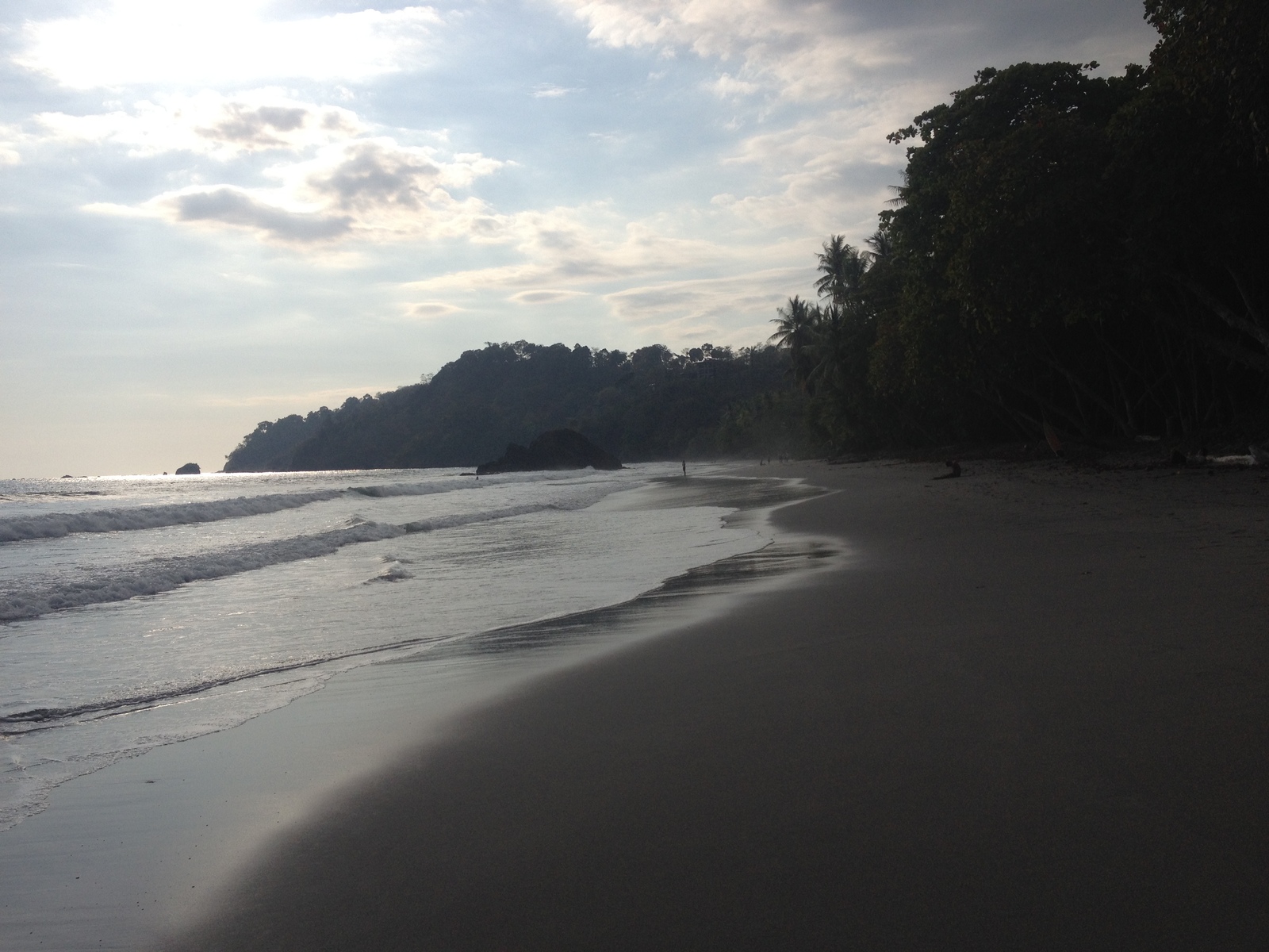 照片 哥斯达黎加(Costa Rica) 曼努埃尔安东尼奥(Manuel Antonio) 2015-03 128