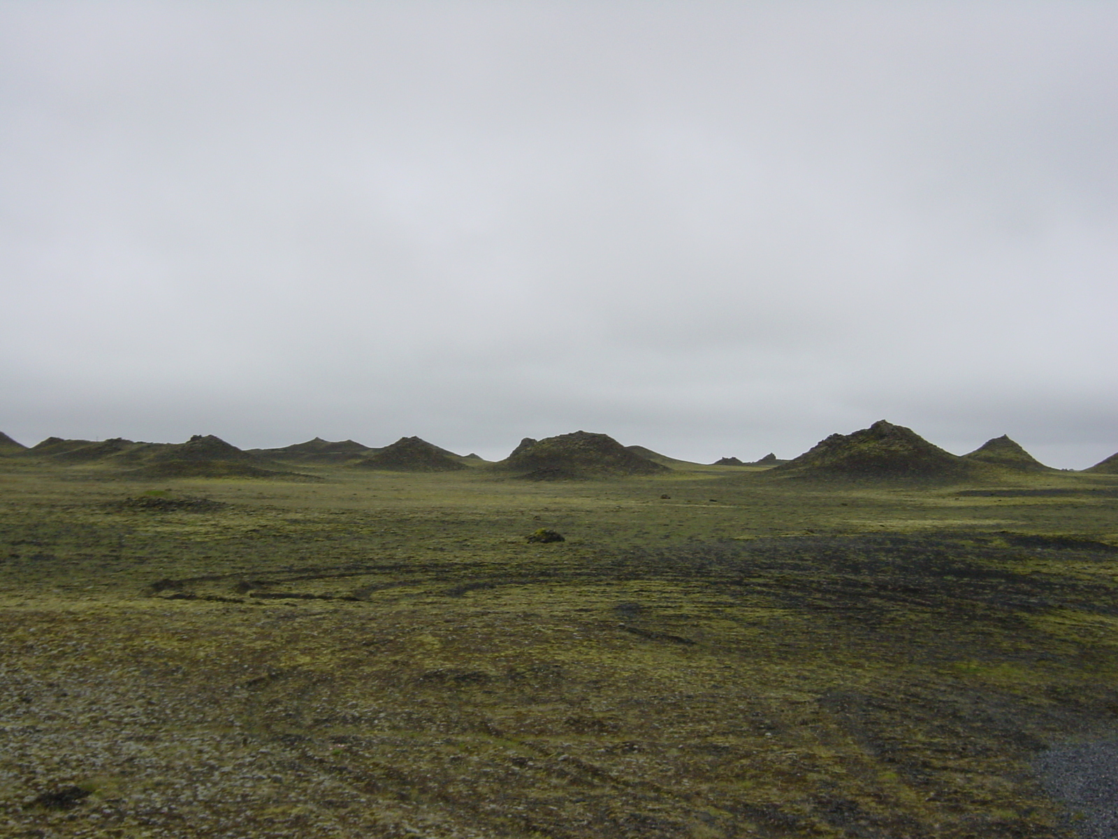 照片 冰岛(Iceland) 1号公路：维克至斯卡夫塔山(Road 1 Vik to Skaftafell) 2003-06 12