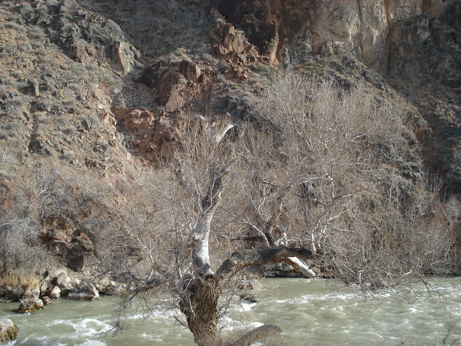 照片 哈萨克斯坦(Kazakhstan) 恰伦峡谷(Charyn Canyon) 2007-03 9