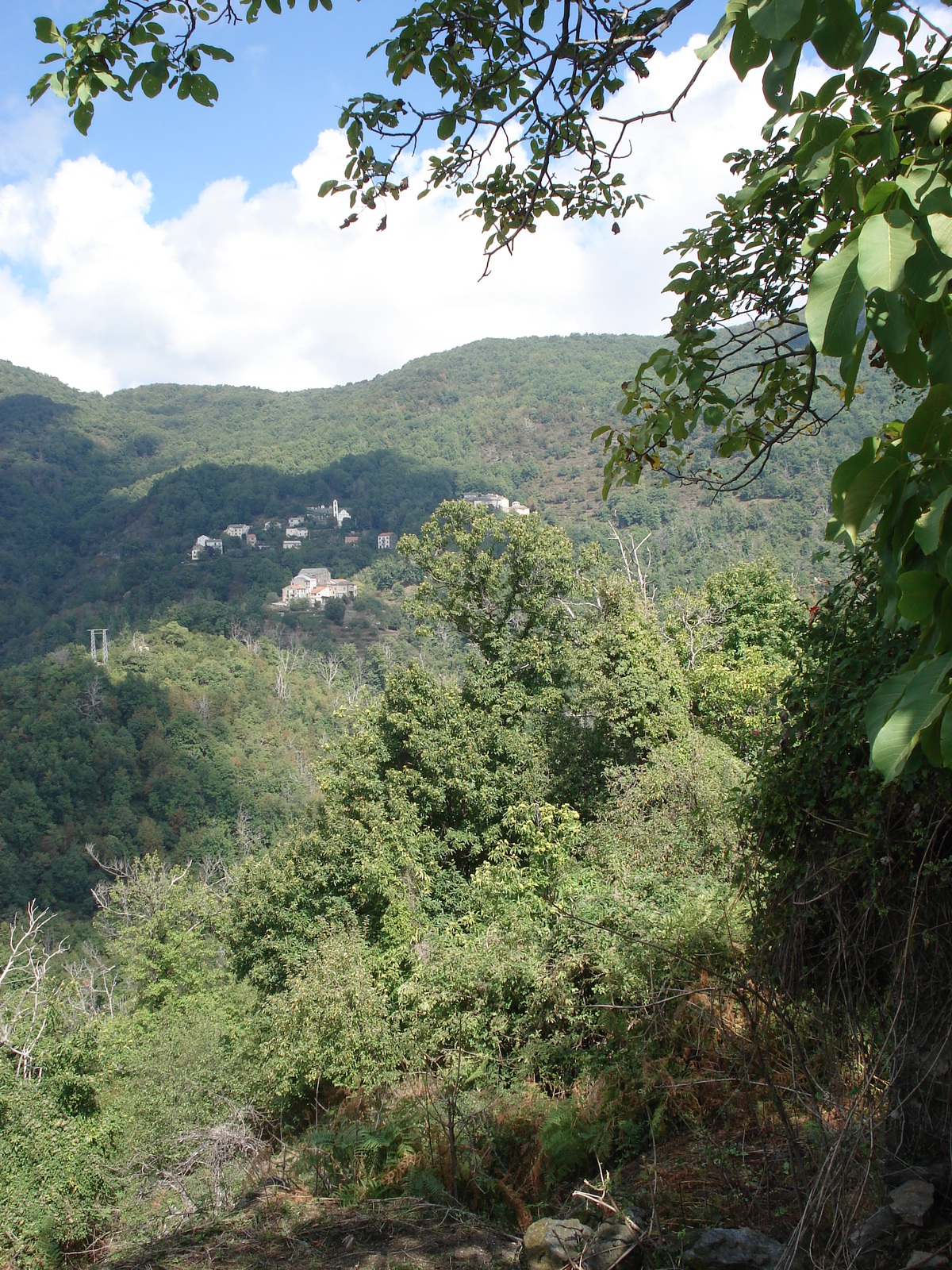 照片 法国(France) 科西嘉岛(Corsica) 阿莱萨尼山谷(Valle d'alesani) 2006-09 133