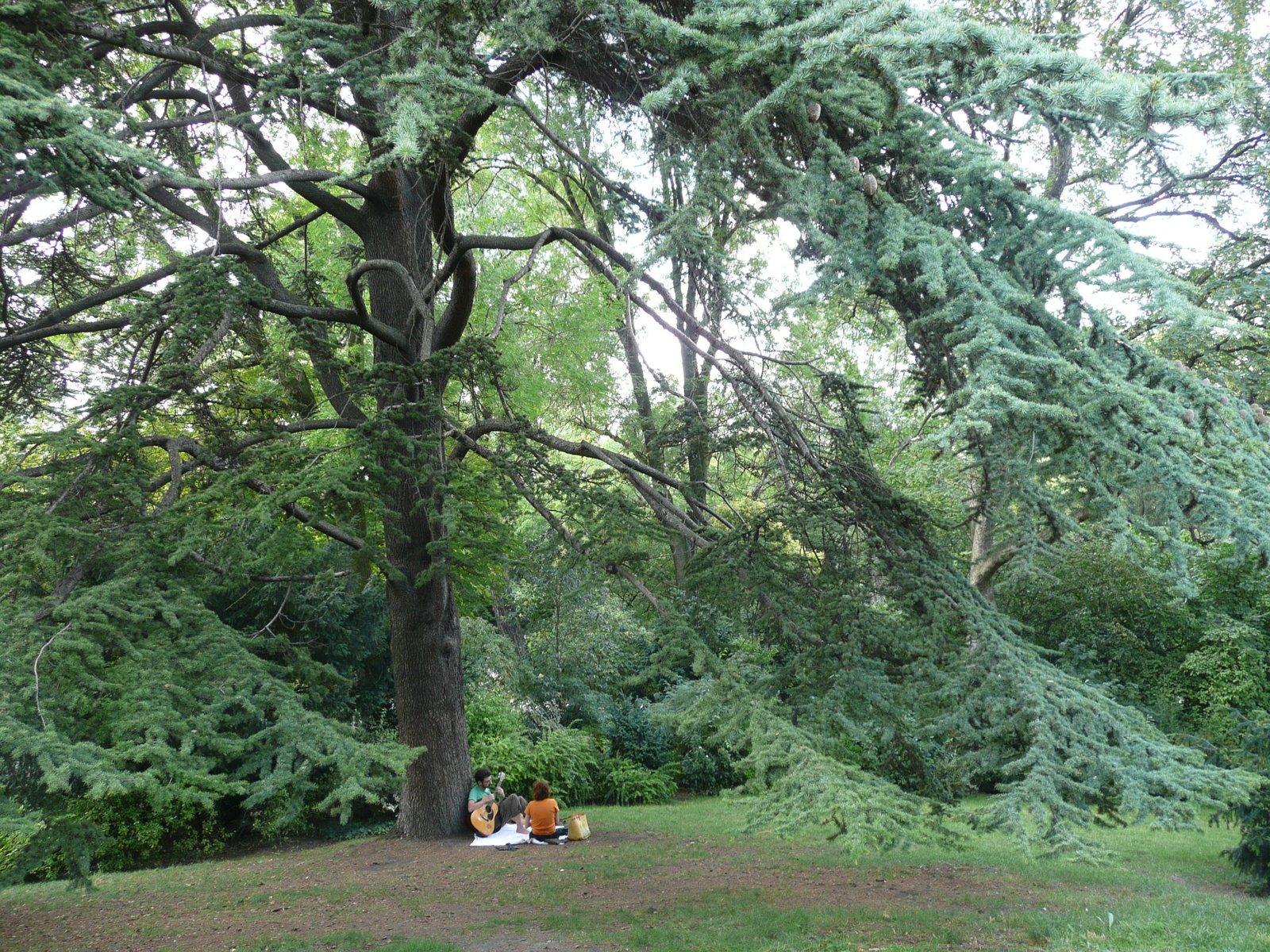 照片 法国(France) 巴黎(Paris) 肖蒙山丘公园(Parc des Buttes Chaumont) 2007-08 166