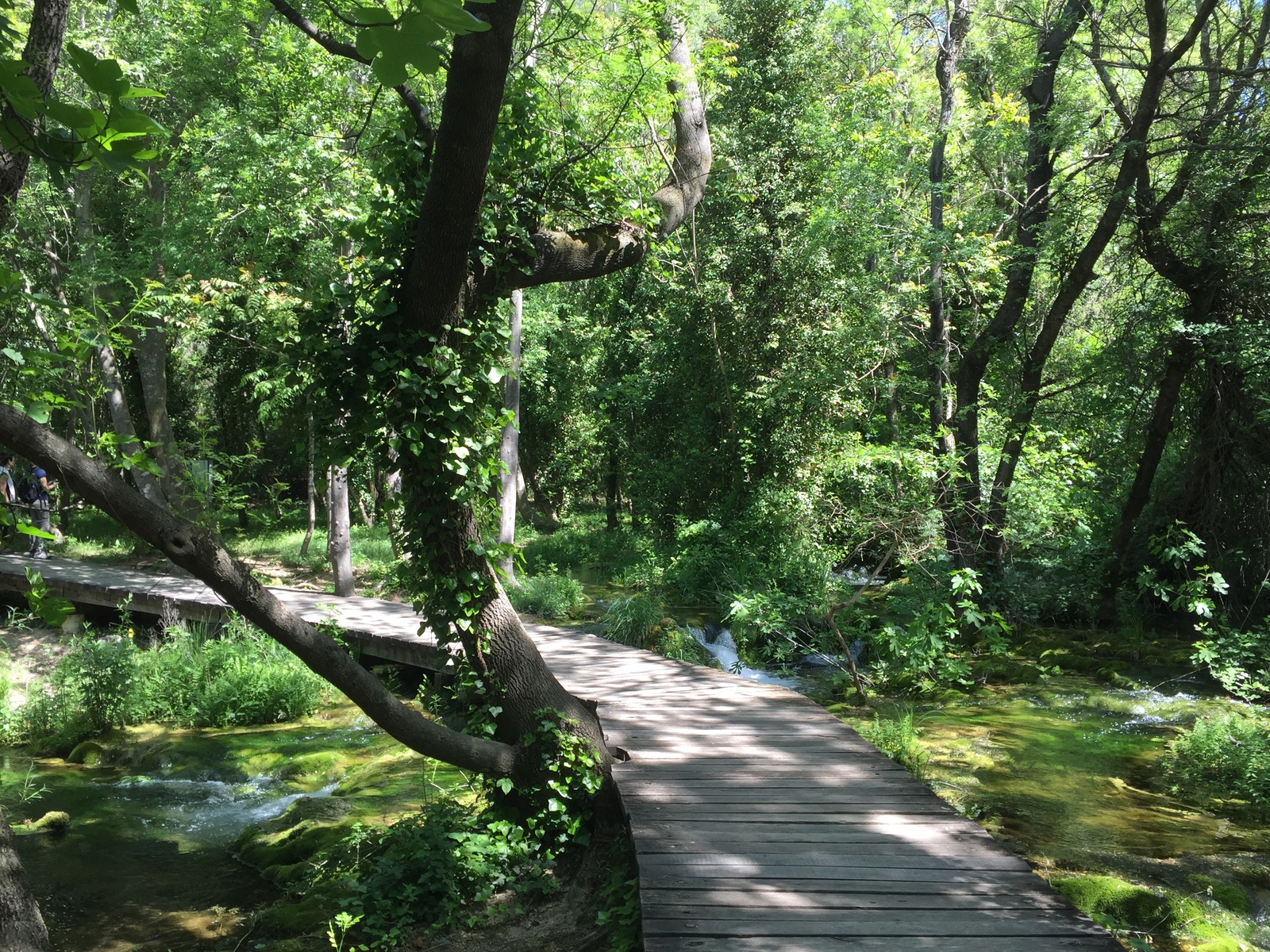 照片 克罗地亚(Croatia) 克尔卡国家公园(Krka National Park) 2016-04 86