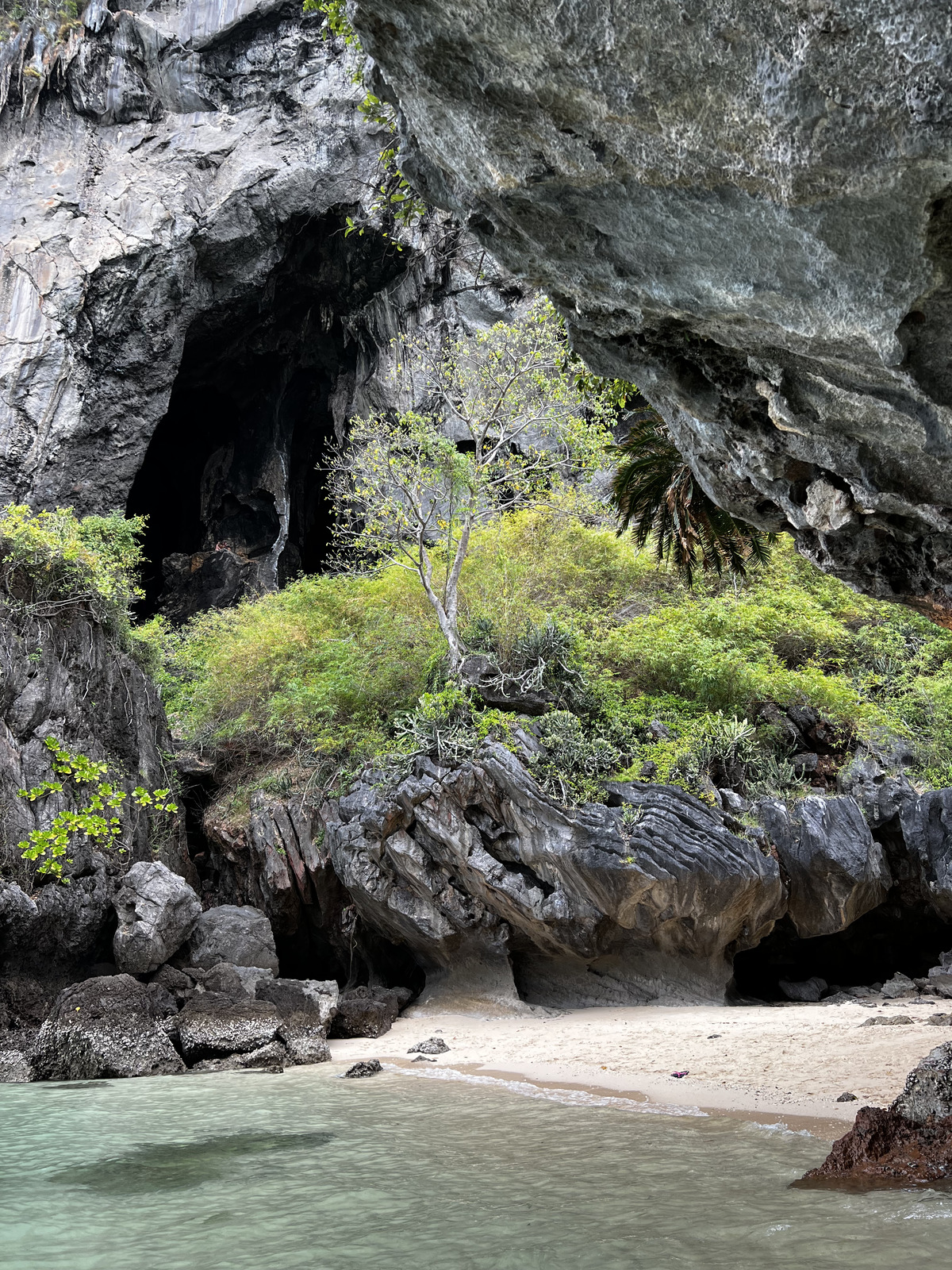 照片 泰国(Thailand) 甲米(Krabi) 2023-01 225
