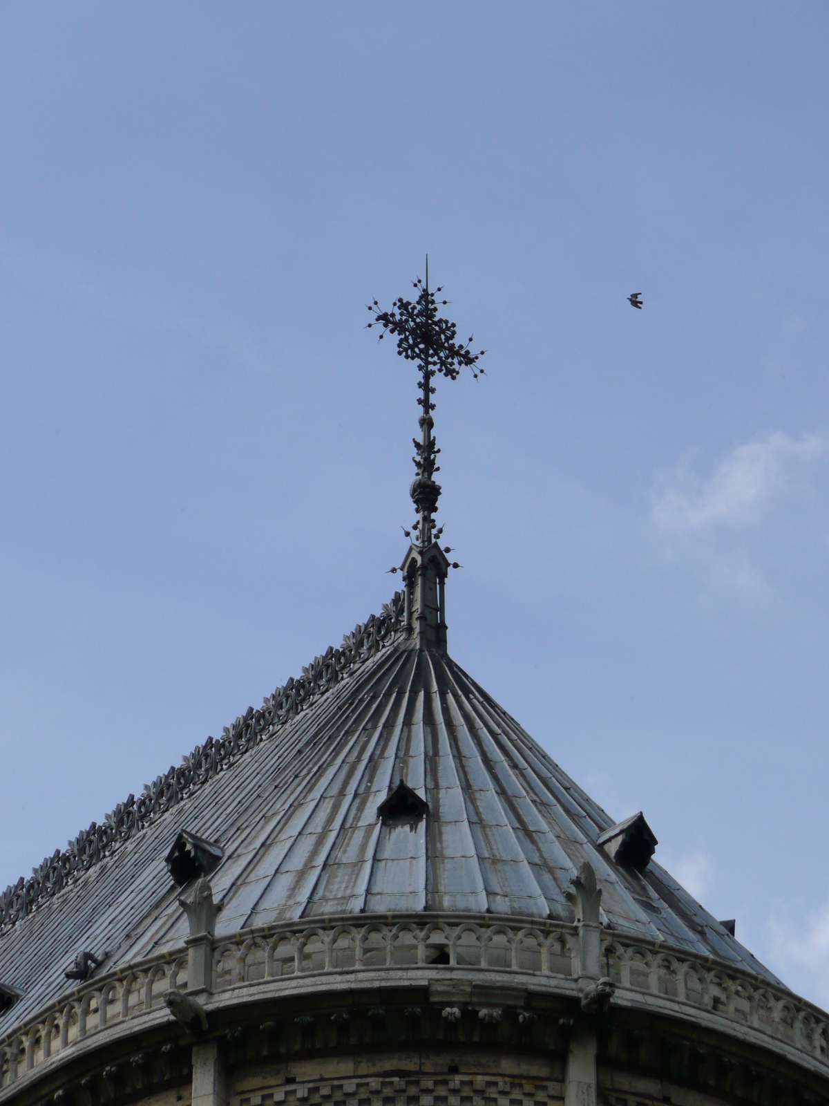 照片 法国(France) 巴黎(Paris) 巴黎圣母院(Notre Dame) 2007-05 97