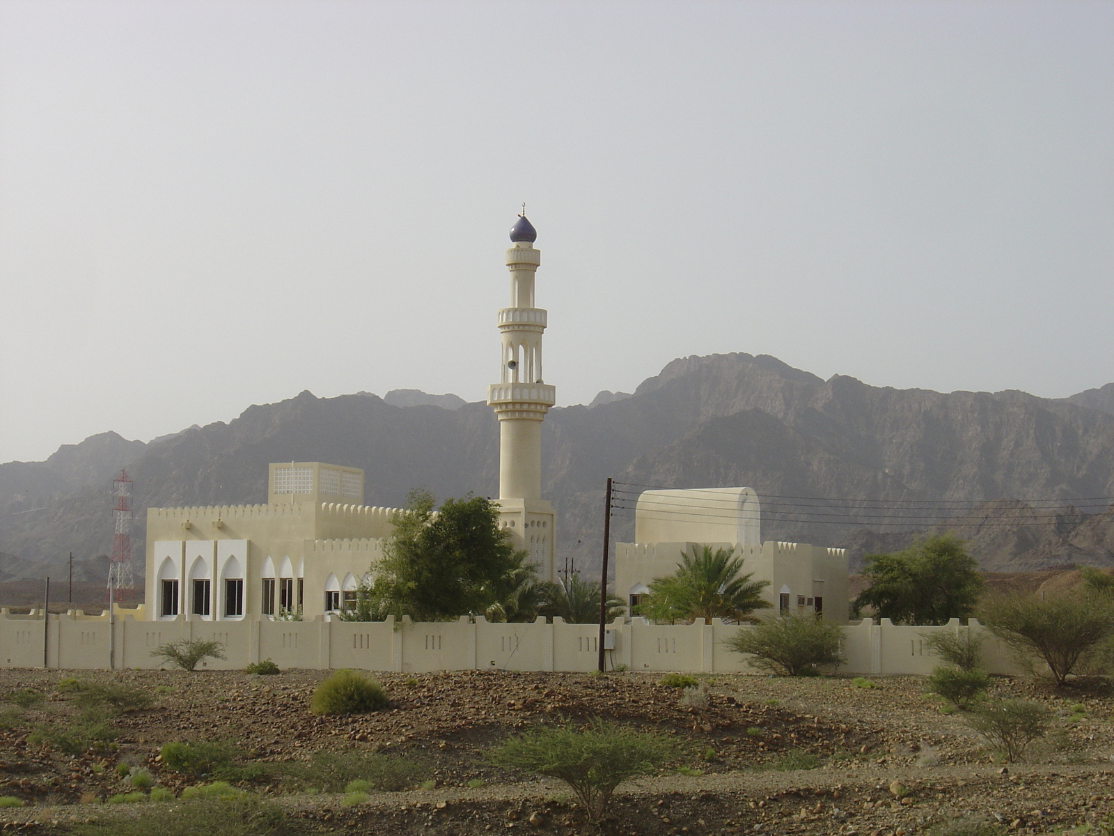 照片 阿曼(Oman) 布赖米至苏哈尔公路(Buraimi to Sohar road) 2005-03 28