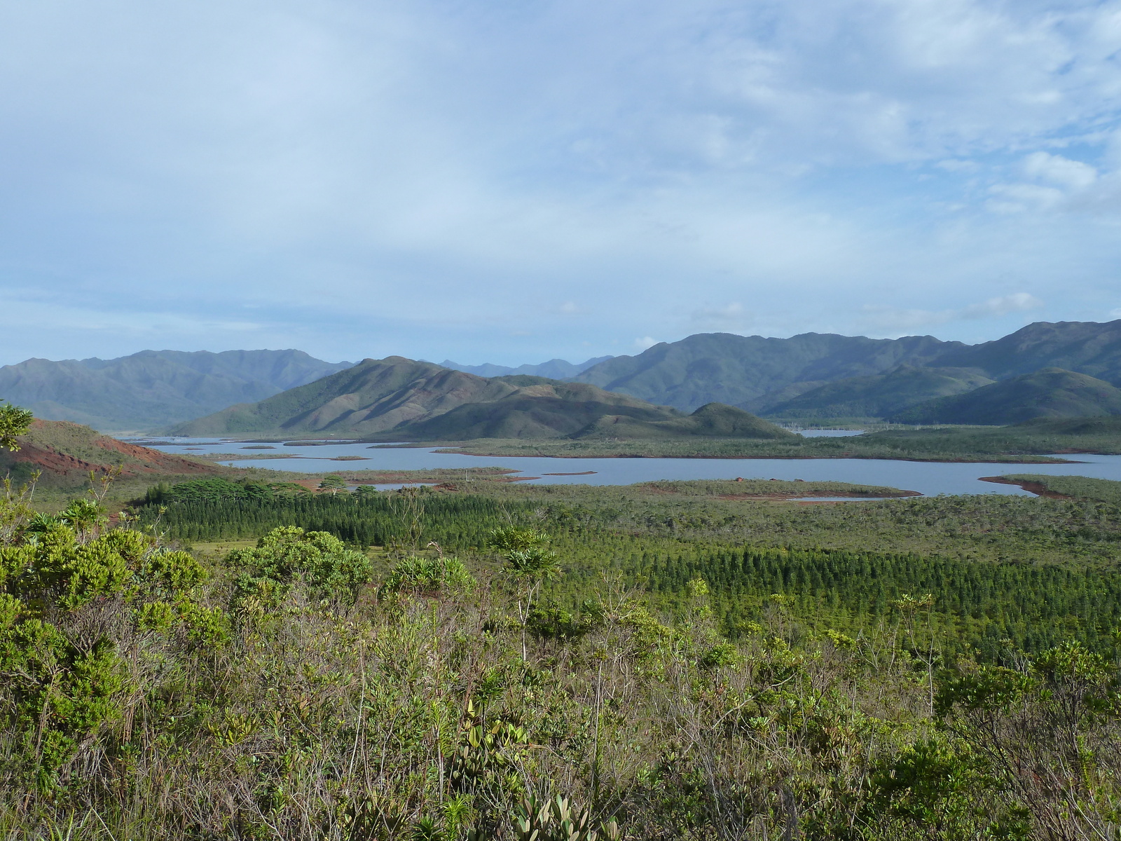 照片 新喀里多尼亚(New Caledonia) 蓝河公园(Parc de la Riviere Bleue) 2010-05 30
