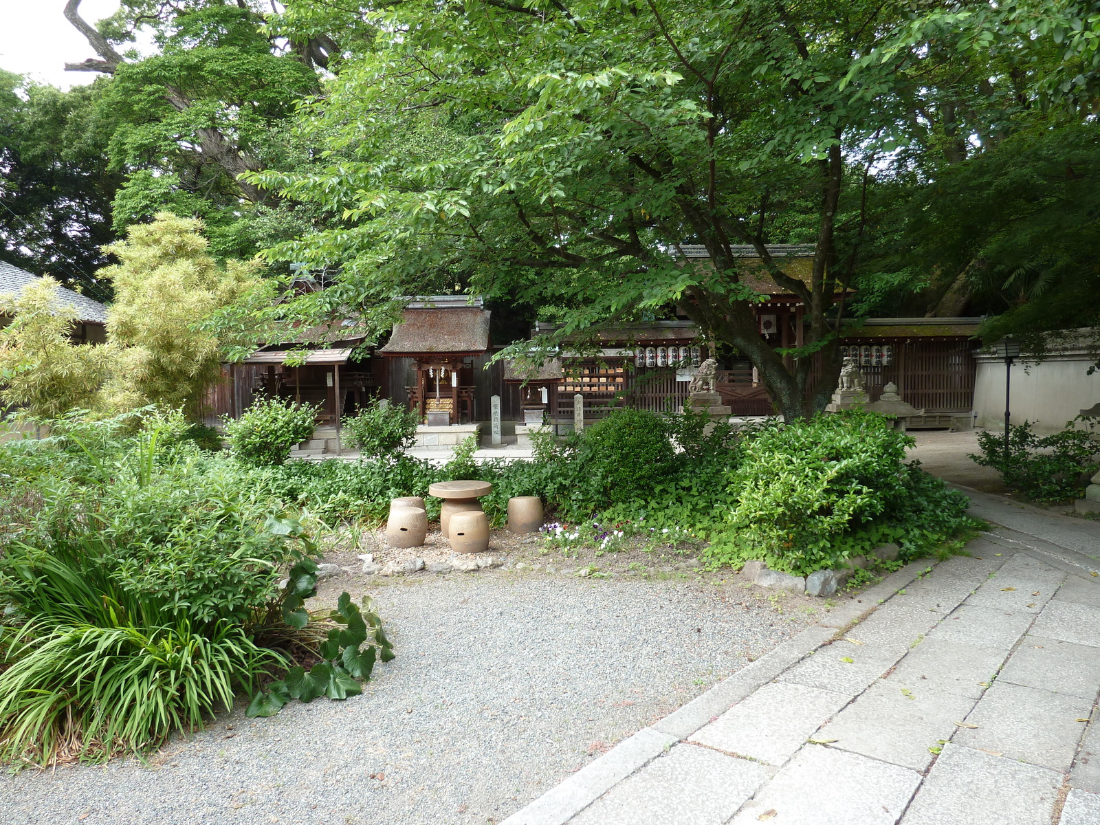照片 日本(Japan) 京都(Kyoto) 京都御苑(Kyoto Gyoen Garden) 2010-06 14