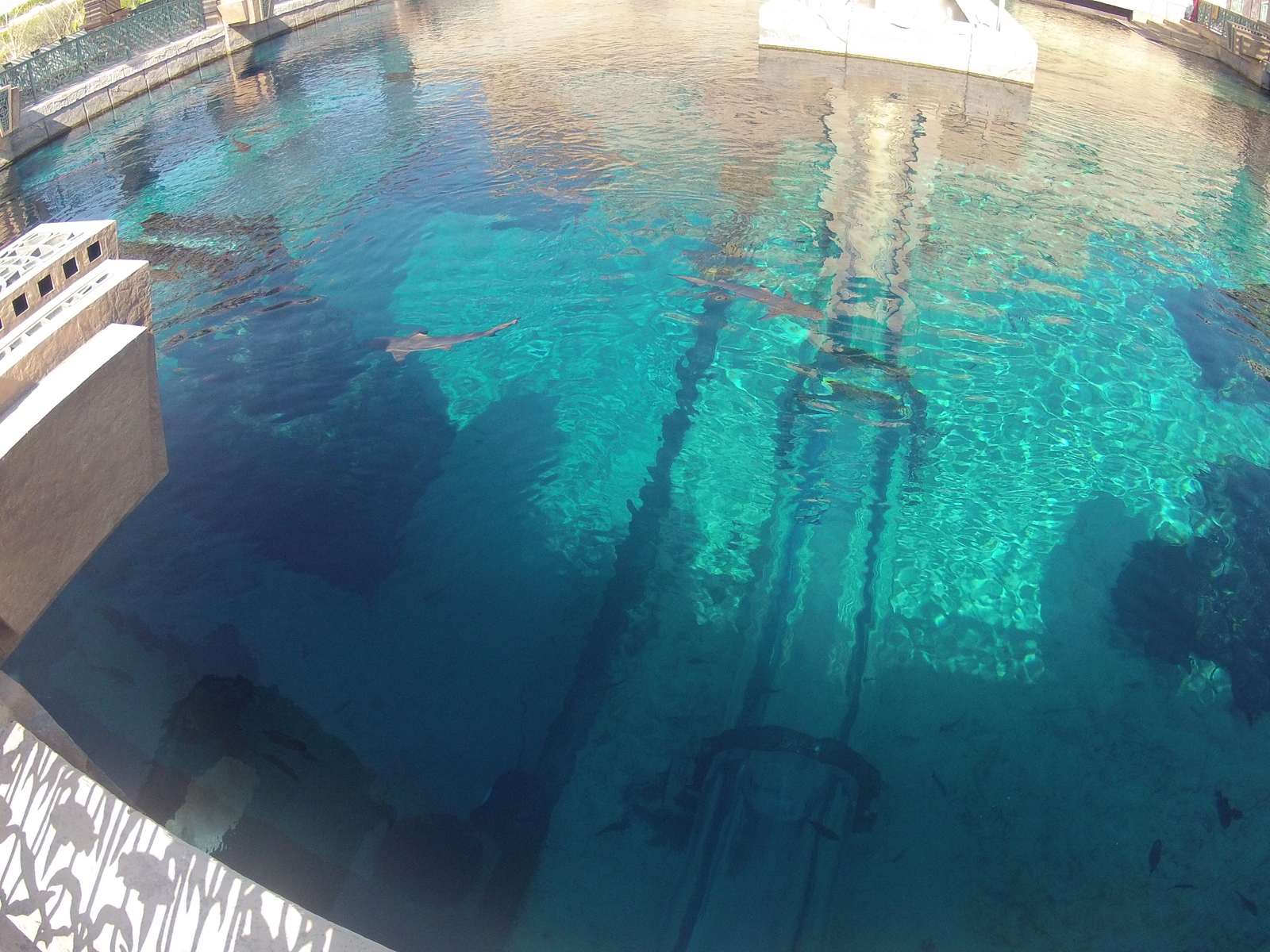 照片 阿联酋(United Arab Emirates) 迪拜(Dubai) 迪拜水世界(Dubai Aquaventure) 2012-01 48