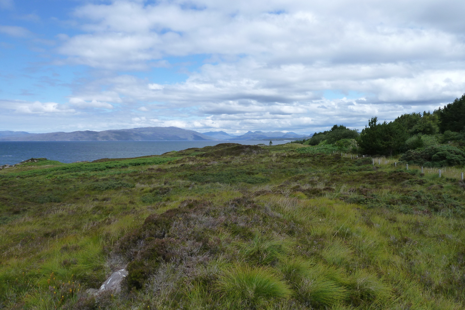 照片 英国(United Kingdom) 斯凯岛(Skye) 2011-07 101