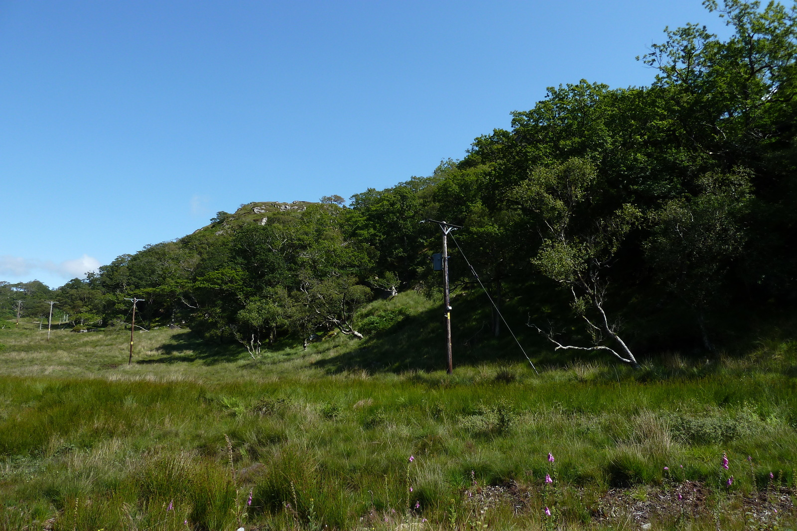 照片 英国(United Kingdom) 苏格兰(Scotland) 萨伦(Salen) 2011-07 10