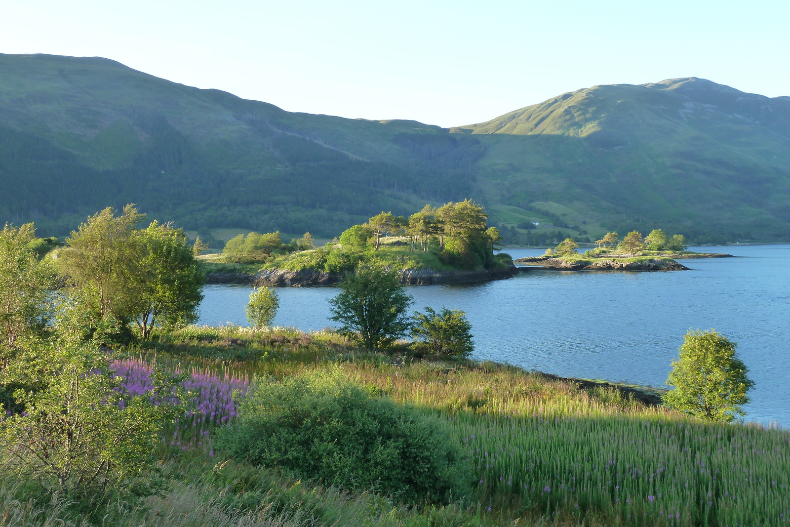 照片 英国(United Kingdom) 苏格兰(Scotland) 2011-07 168