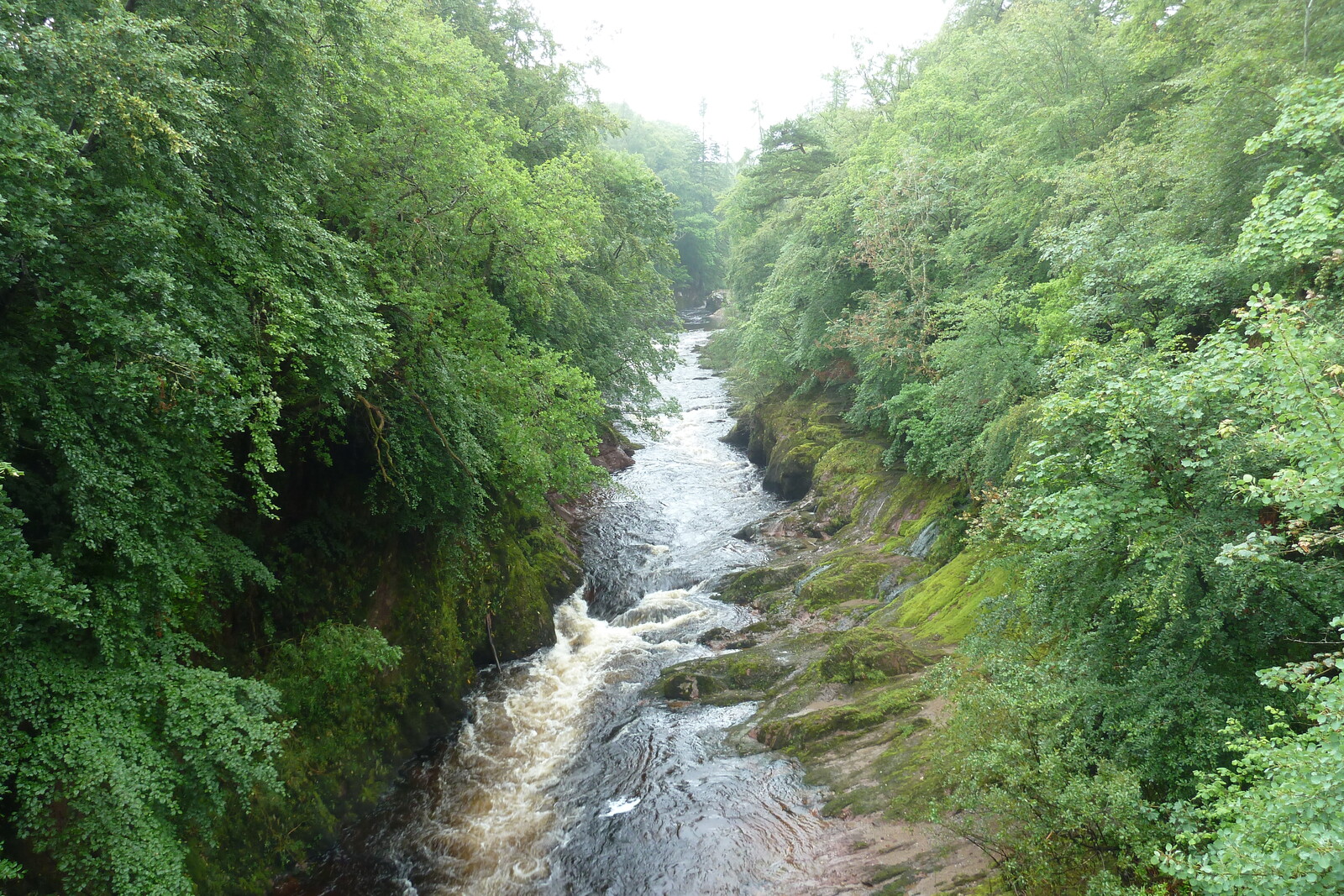 照片 英国(United Kingdom) 苏格兰(Scotland) 布里金(Brechin) 2011-07 0