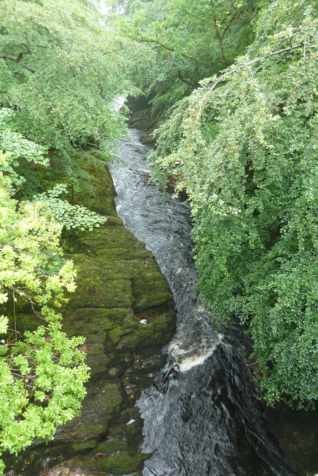 照片 英国(United Kingdom) 苏格兰(Scotland) 布里金(Brechin) 2011-07 2
