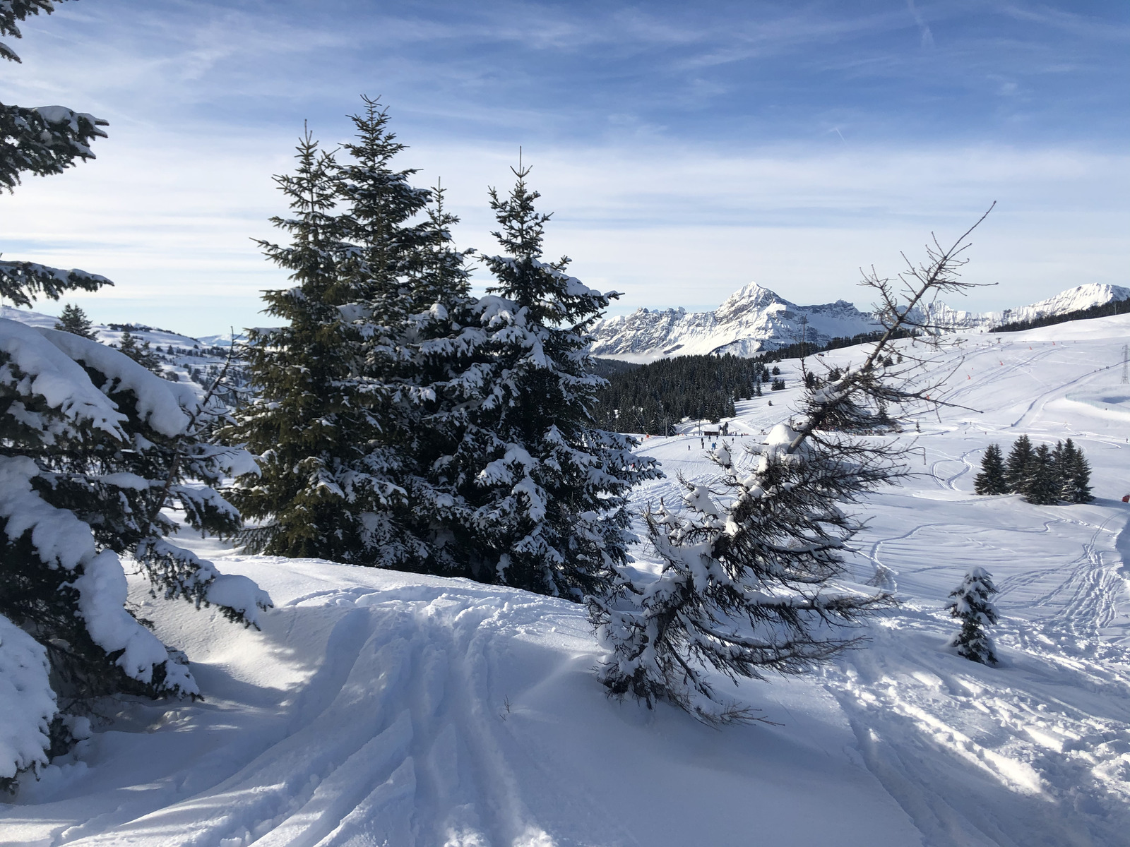 照片 法国(France) 阿尔利河畔普拉(Praz sur Arly) 2019-12 40
