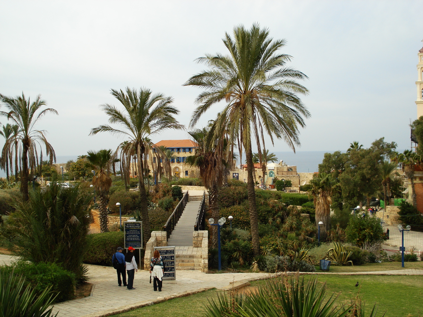 照片 以色列(Israel) 雅法(Jaffa) 2006-12 136