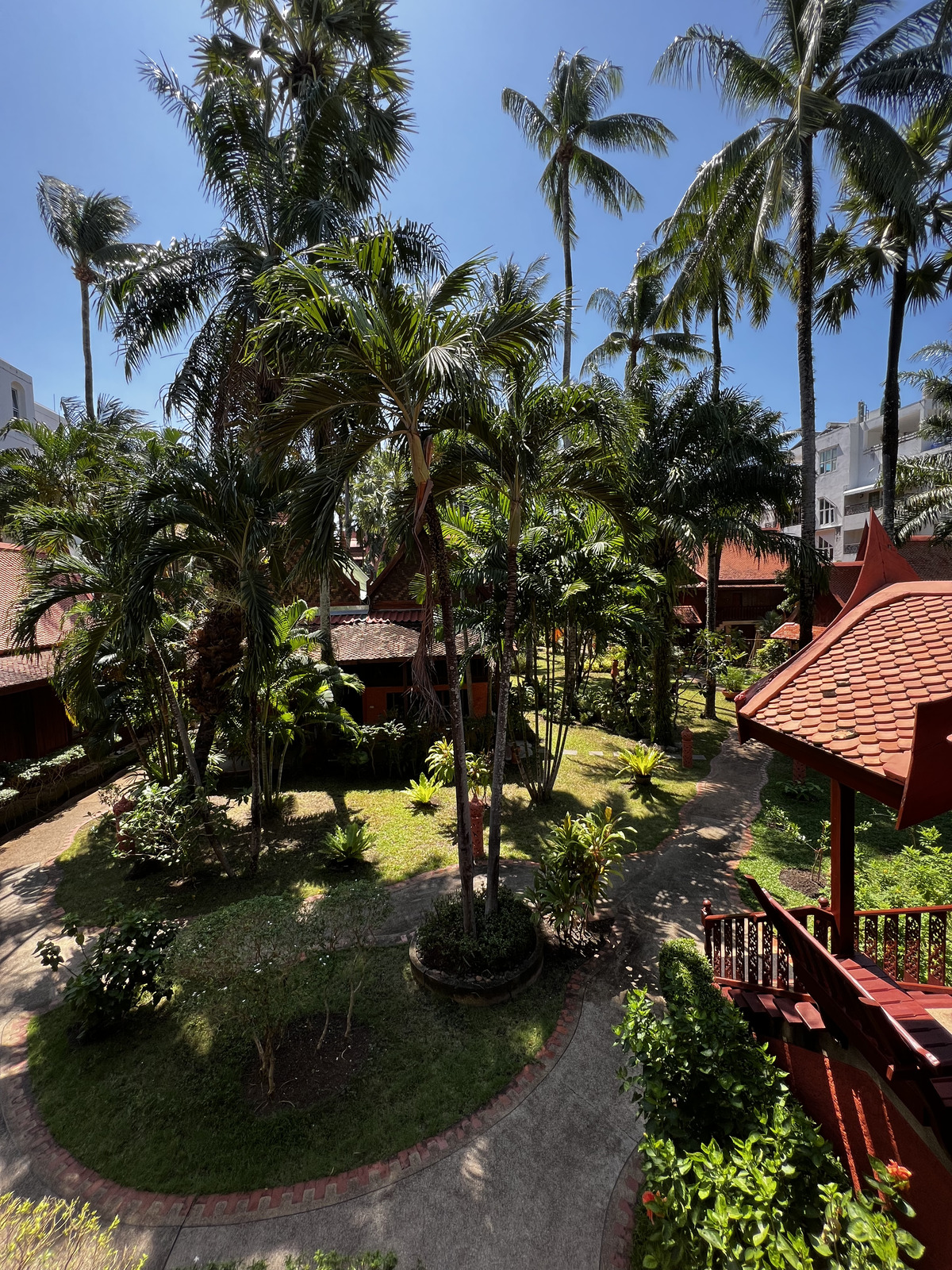 照片 泰国(Thailand) 普吉岛(Phuket) 芭东(Patong) 皇家帕瓦迪村酒店(Royal Phawadee Village Hotel) 2021-12 99