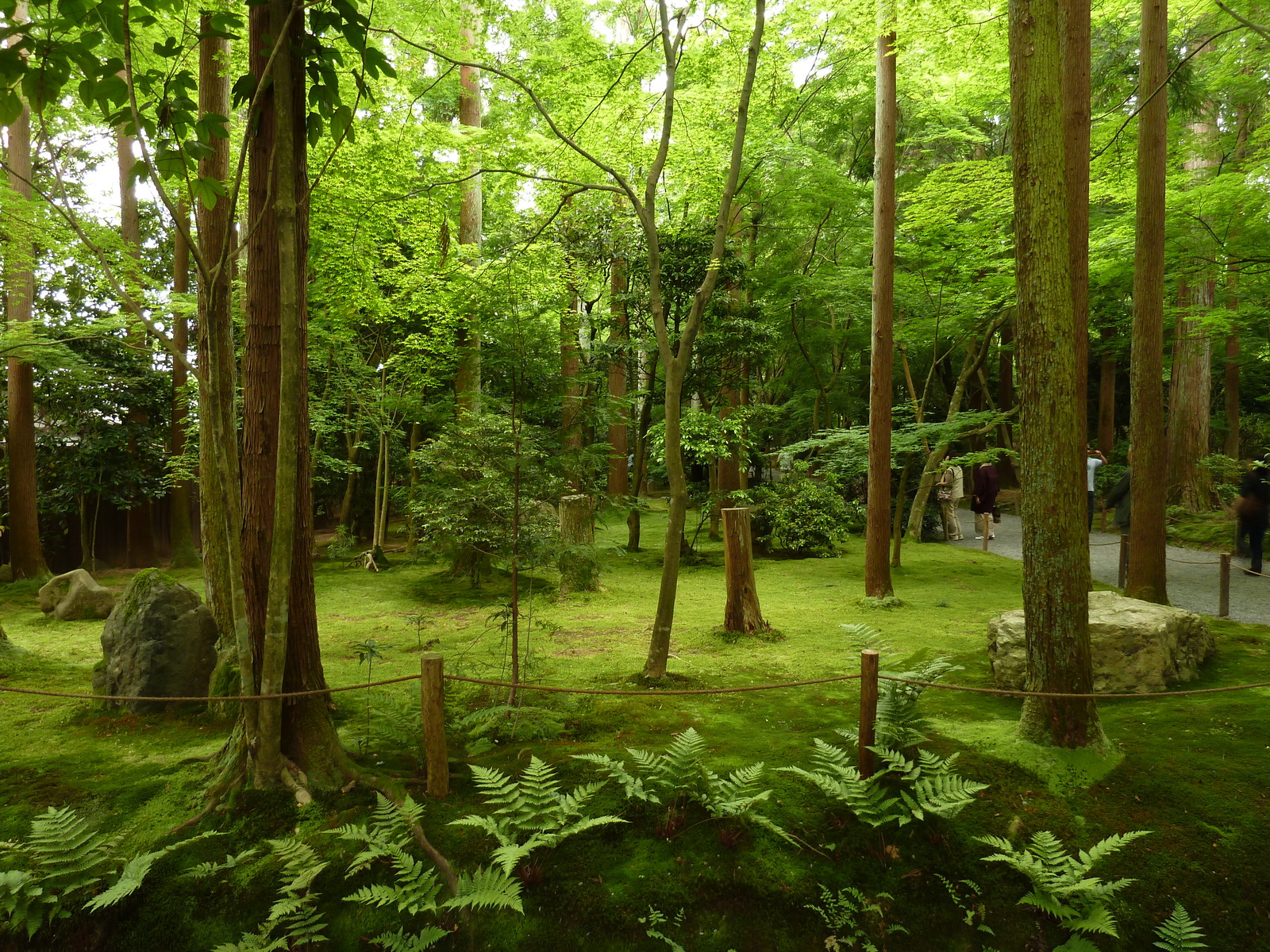 照片 日本(Japan) 2010-06 72
