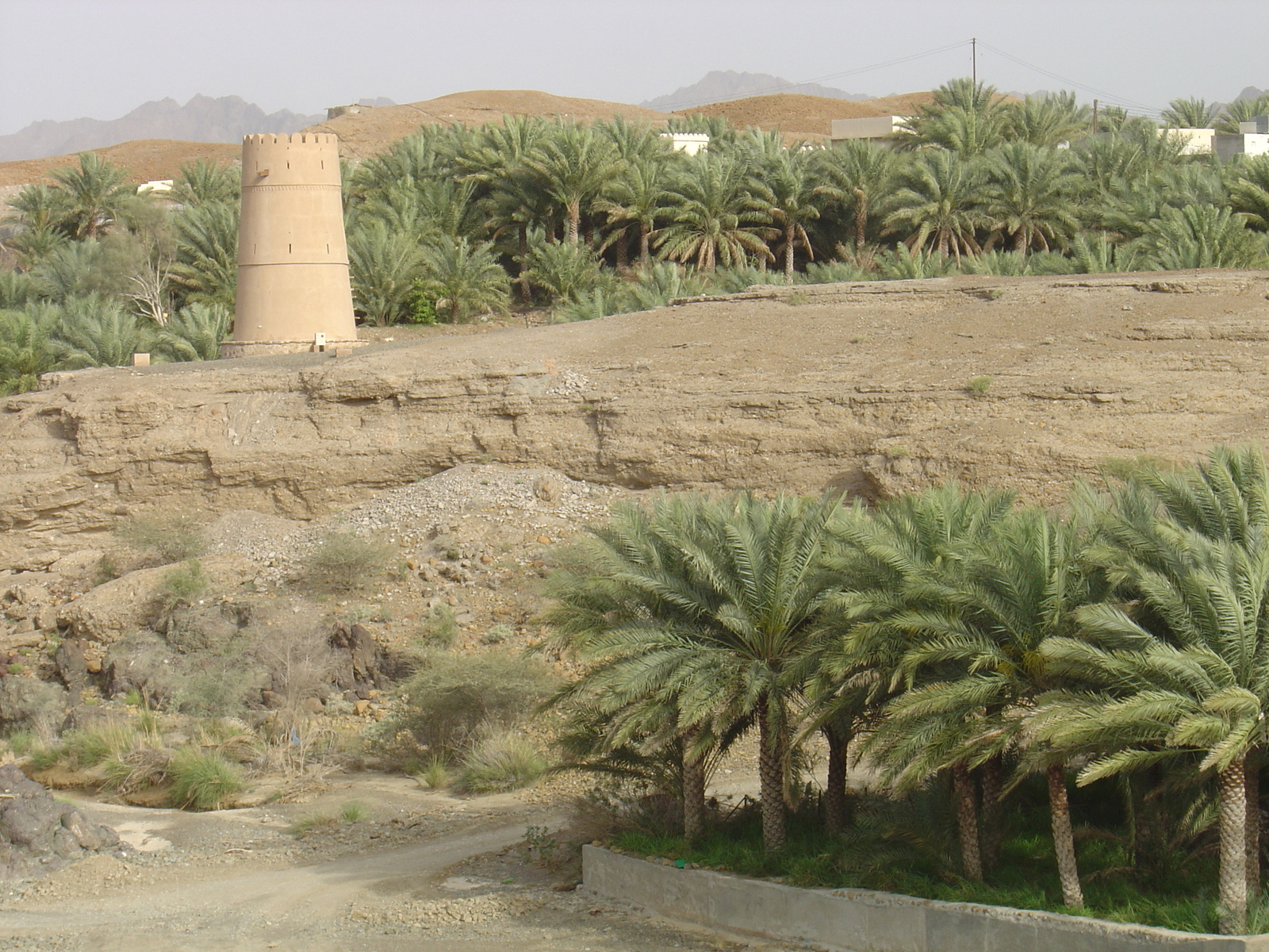 照片 阿曼(Oman) 布赖米至苏哈尔公路(Buraimi to Sohar road) 2005-03 21