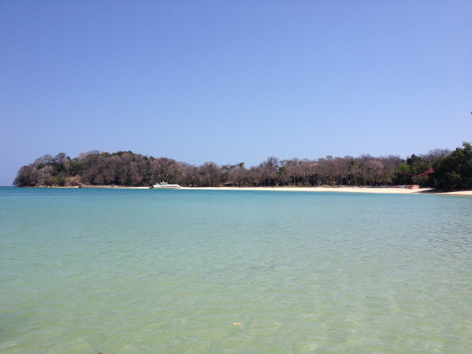 照片 巴拿马(Panama) 孔塔多拉岛(Contadora Island) 2015-03 14