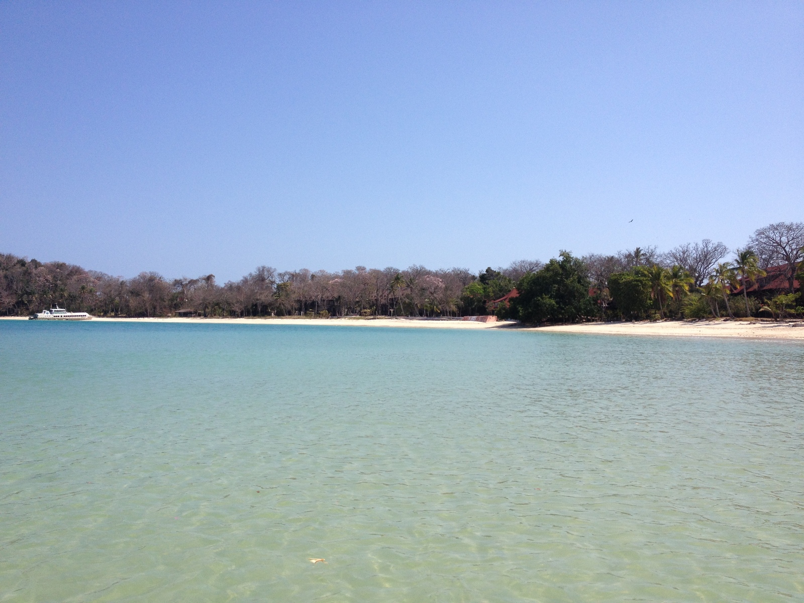 照片 巴拿马(Panama) 孔塔多拉岛(Contadora Island) 2015-03 20