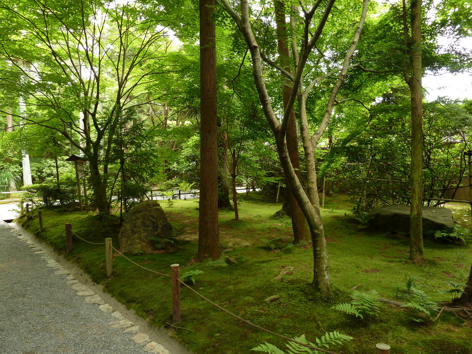 照片 日本(Japan) 京都(Kyoto) 龙安寺(Ryoanji Temple) 2010-06 69