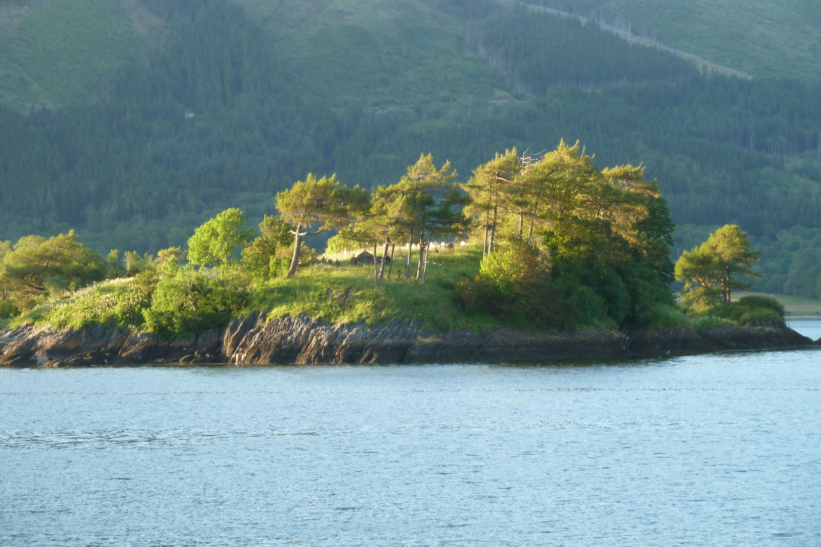 照片 英国(United Kingdom) 格伦科(Glen Coe) 2011-07 69