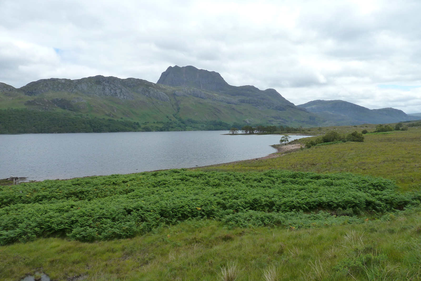 照片 英国(United Kingdom) 苏格兰(Scotland) 马里湖(Loch Maree) 2011-07 10