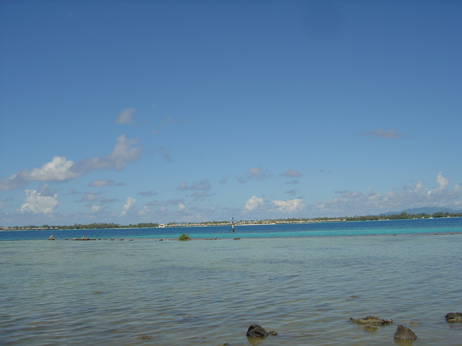 照片 波利尼西亚(Polynesia) 波拉波拉岛(Bora Bora) 2006-04 131