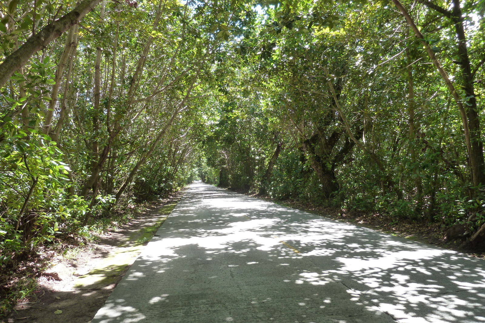照片 塞舌尔(Seychelles) 普拉兰岛(Praslin) 2011-10 93