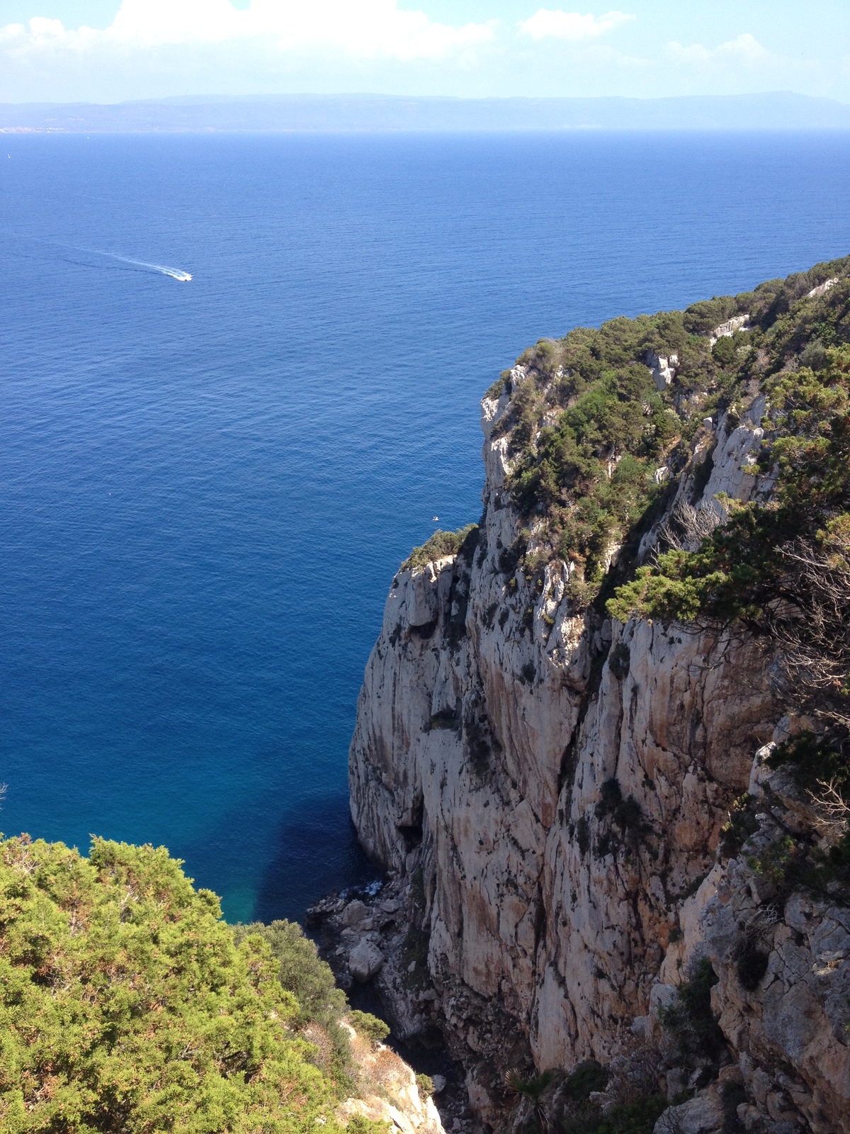 照片 意大利(Italy) 撒丁岛(Sardinia) 孔特港地区自然公园(Porto Conte Regional Natural Park) 2015-06 40