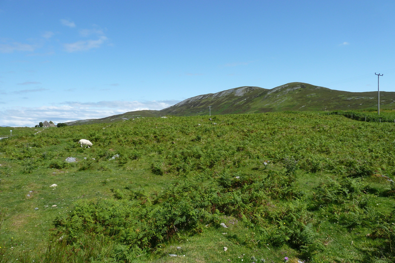 照片 英国(United Kingdom) 斯凯岛(Skye) 库林山脉(The Cuillin) 2011-07 167