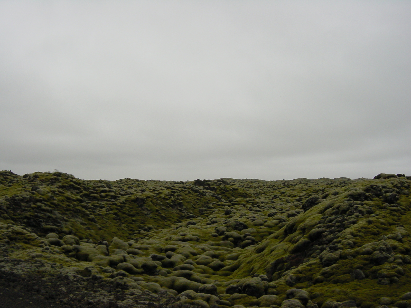照片 冰岛(Iceland) 1号公路：维克至斯卡夫塔山(Road 1 Vik to Skaftafell) 2003-06 18