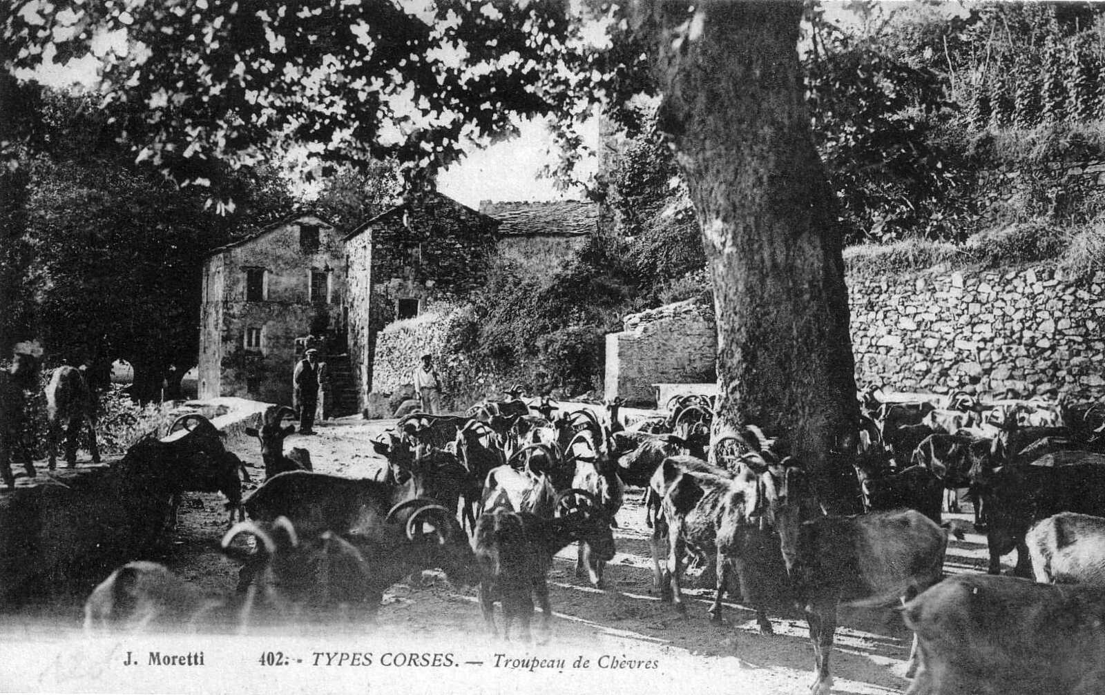 照片 法国(France) 科西嘉岛(Corsica) 老明信片(Old Postcards) 1900-01 23