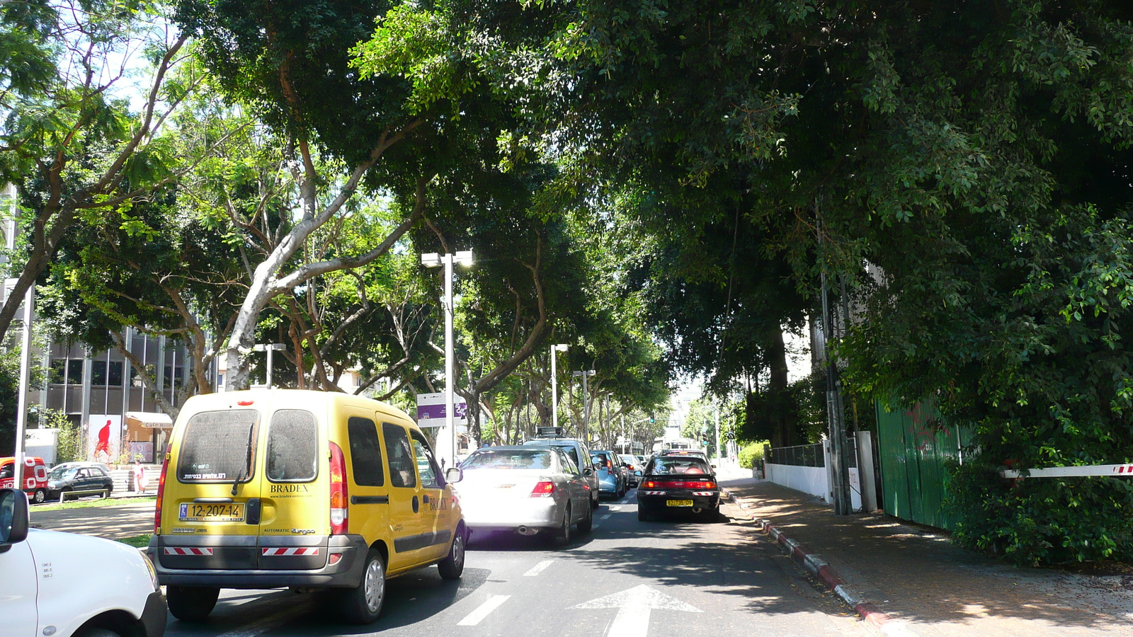 照片 以色列(Israel) 特拉维夫(Tel Aviv) 罗斯柴尔德大道(Rothschild Street) 2007-06 25
