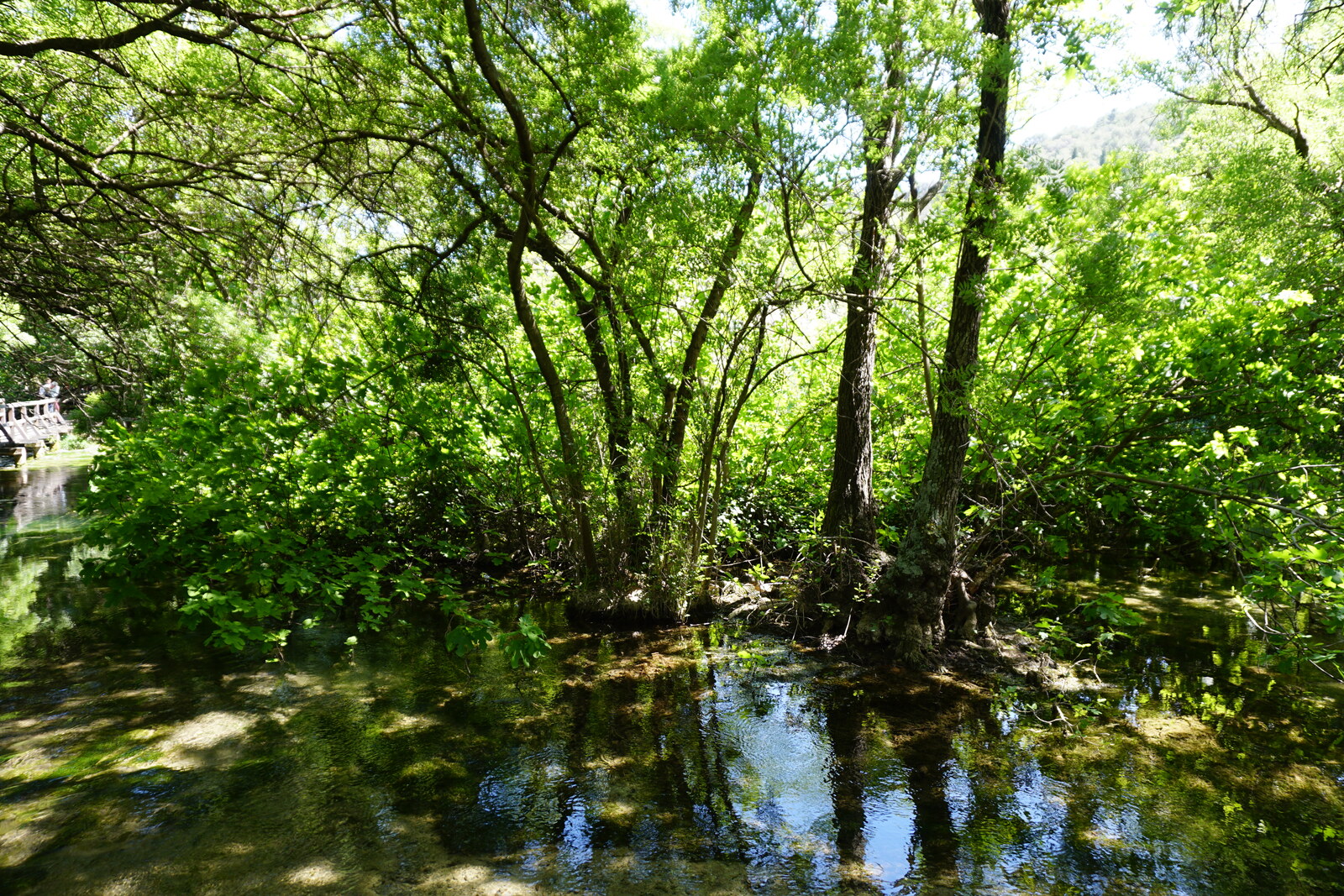 照片 克罗地亚(Croatia) 克尔卡国家公园(Krka National Park) 2016-04 0
